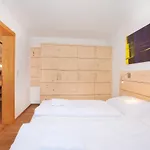 Appartement In Pinzgau Near Wildkogel Arena *