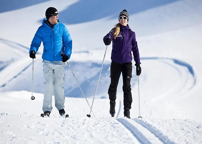 Daire In Pinzgau Near Wildkogel Arena